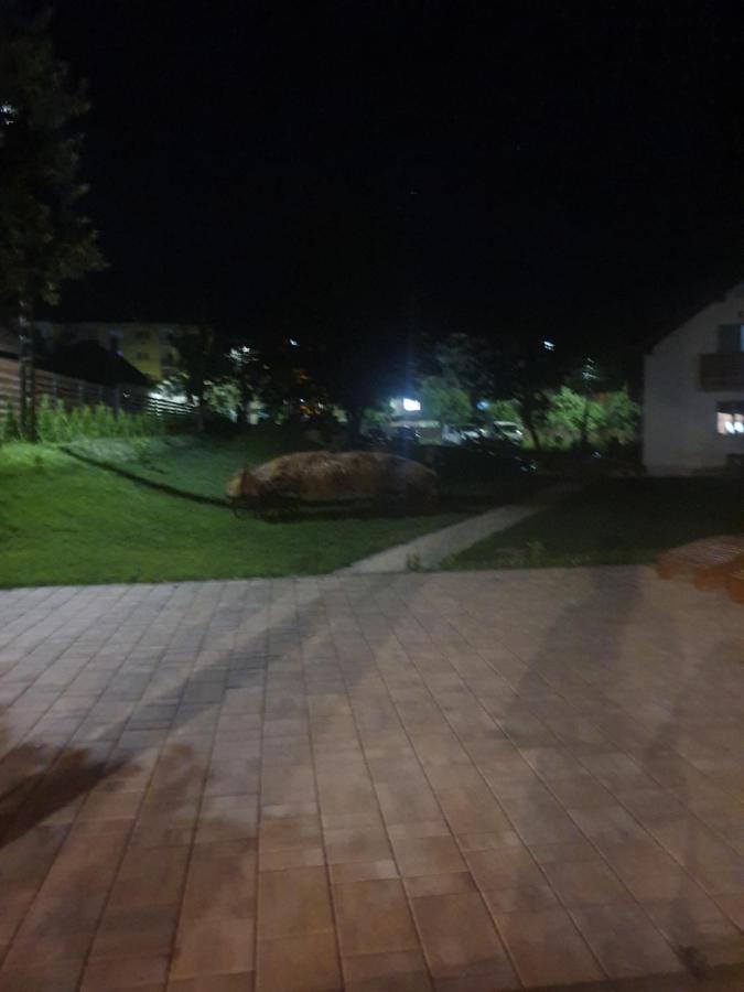קובסנה Pensiunea Transilvania מראה חיצוני תמונה